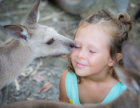 Wildlife Habitat - Hervey Bay Accommodation 2