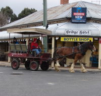 Bathurst Farm Experience - Hervey Bay Accommodation