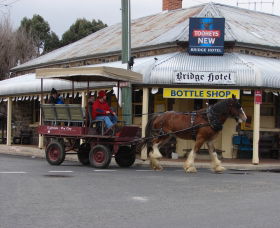 Bathurst Farm Experience - Hervey Bay Accommodation 0