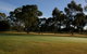 Winchelsea Golf Club - thumb 0