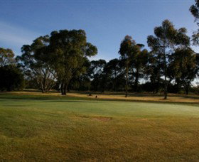 Winchelsea Golf Club - Hervey Bay Accommodation 0