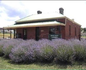 Lavender House In Railway Park - Hervey Bay Accommodation 0