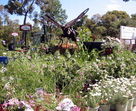 Zanthorrea Nursery - Hervey Bay Accommodation 0