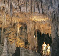 Mammoth Cave - Hervey Bay Accommodation