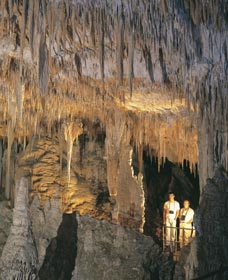Mammoth Cave - Tourism Hervey Bay 0