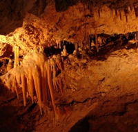 Yanchep National Park - Crystal Cave - Hervey Bay Accommodation