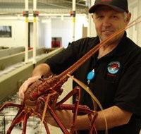 Lobster Shack - Hervey Bay Accommodation