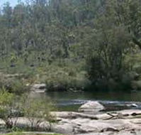 Wellington Discovery Forest - Hervey Bay Accommodation