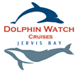 Dolphin Watch Cruises - Hervey Bay Accommodation 2
