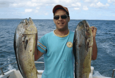 Jervis Bay Fishing And Charters - Hervey Bay Accommodation 0