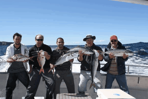 Jervis Bay Fishing And Charters - Hervey Bay Accommodation 2