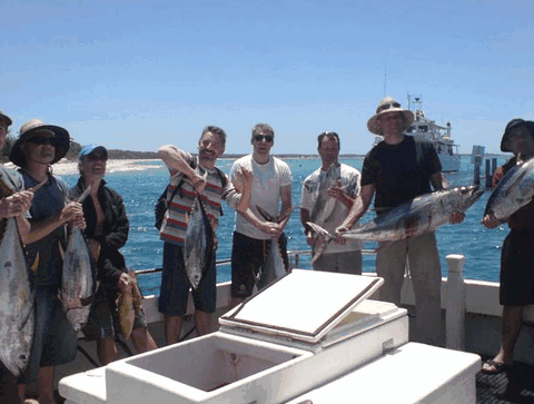 Jervis Bay Fishing And Charters - Hervey Bay Accommodation 3