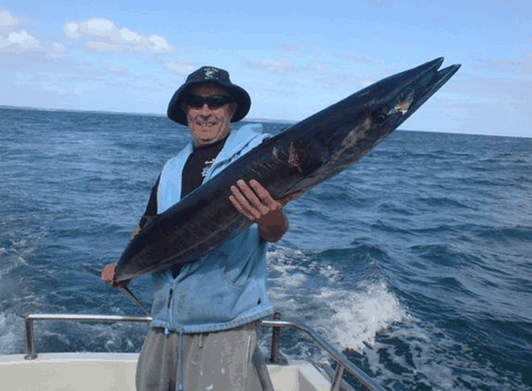 Jervis Bay Fishing And Charters - Hervey Bay Accommodation 4