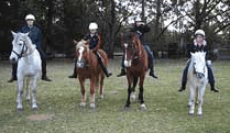 Valhalla Horse Riding - Hervey Bay Accommodation 1