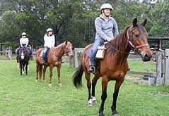 Valhalla Horse Riding - Hervey Bay Accommodation 2