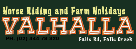 Valhalla Horse Riding - Hervey Bay Accommodation 4