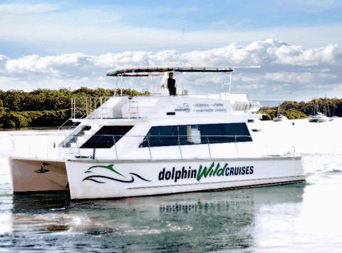 Dolphin Wild Cruises - Hervey Bay Accommodation 2
