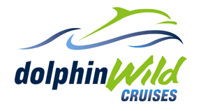 Dolphin Wild Cruises - Hervey Bay Accommodation 4