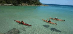 Jervis Bay Kayak & Paddlesports - Hervey Bay Accommodation 4