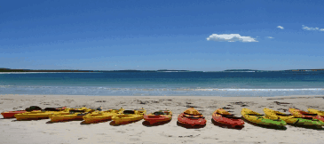Jervis Bay Kayak & Paddlesports - Hervey Bay Accommodation 5