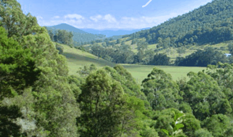 Blue Poles Gallery - Tourism Hervey Bay 1