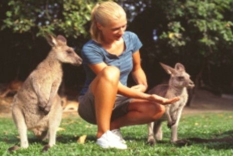 Jungle Tours And Trekking - Hervey Bay Accommodation 1