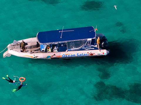 Jungle Tours And Trekking - Hervey Bay Accommodation 5