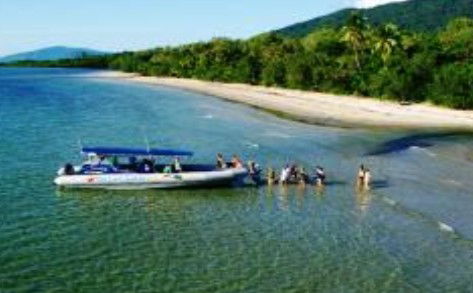 Cape Tribulation QLD Tourism Hervey Bay