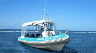 Yongala Dive  - Hervey Bay Accommodation 1