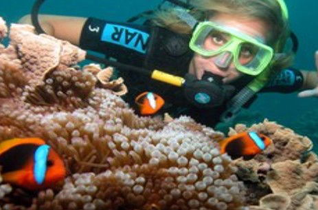 Ocean Spirit Cruises - Tourism Hervey Bay 1