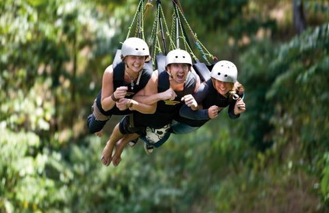 AJ Hackett Cairns - Tourism Hervey Bay 4