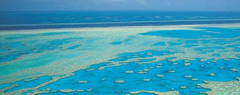 Aristocat Snorkel And Scuba Port Douglas - Hervey Bay Accommodation 3
