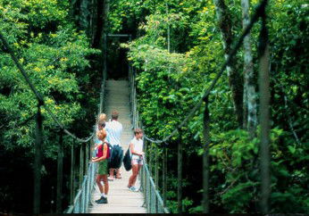 BTS Tours Pty Ltd - Hervey Bay Accommodation 4