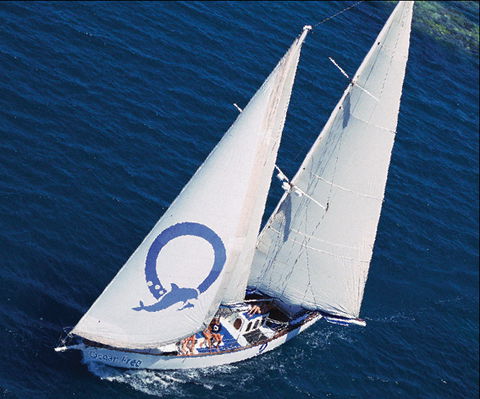 Ocean Free & Ocean Freedom - Cairns Premier Reef And Island Tours - Hervey Bay Accommodation 0