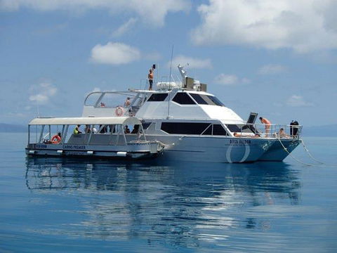 Ocean Free & Ocean Freedom - Cairns Premier Reef And Island Tours - Hervey Bay Accommodation 1