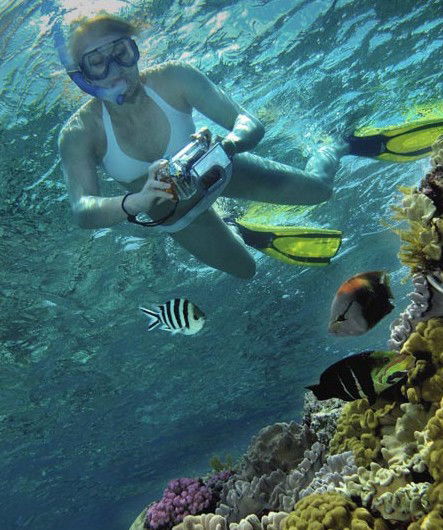Calypso Reef Charters - Hervey Bay Accommodation 0