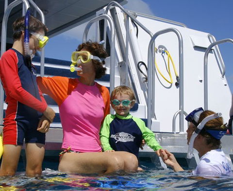 Calypso Reef Charters - Hervey Bay Accommodation 3