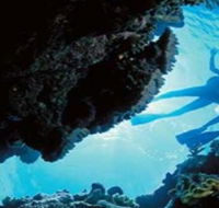 Deep Sea Divers Den - Tourism Hervey Bay