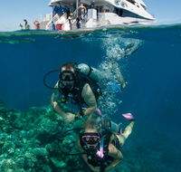 Down Under Cruise and Dive - Hervey Bay Accommodation