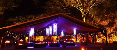 Flames Of The Forest - Hervey Bay Accommodation 0