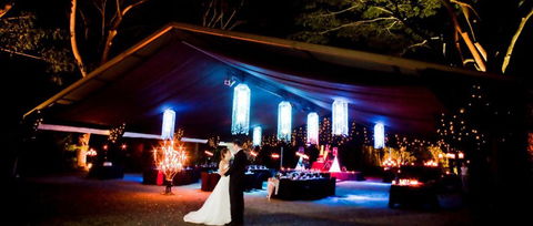 Flames Of The Forest - Hervey Bay Accommodation 3