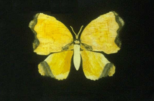 Ashworths - Hervey Bay Accommodation 0