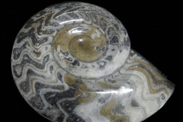 Ashworths - Hervey Bay Accommodation 2