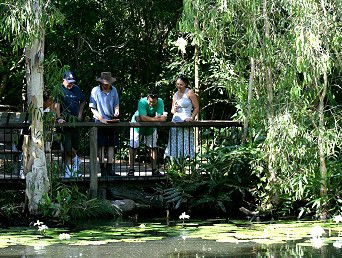 Hartley's Crocodile Adventures - Hervey Bay Accommodation 2