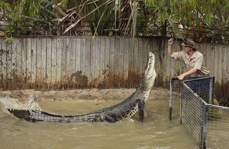 Hartley's Crocodile Adventures - Hervey Bay Accommodation 8
