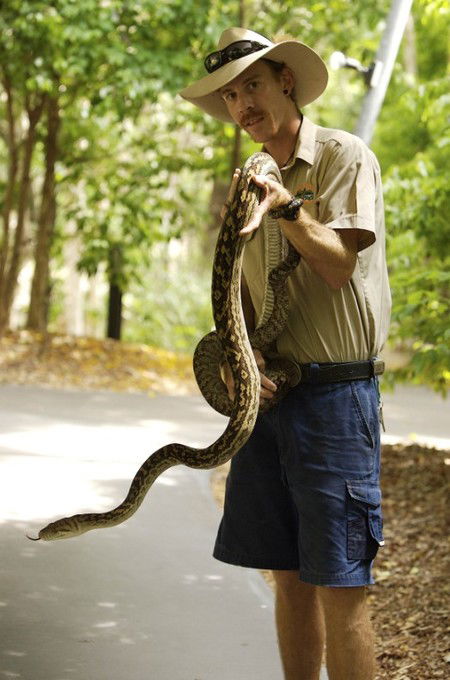 Hartley's Crocodile Adventures - Hervey Bay Accommodation 11
