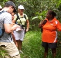 Ingan Tours - Spirit of the Rainforest Tour - Hervey Bay Accommodation