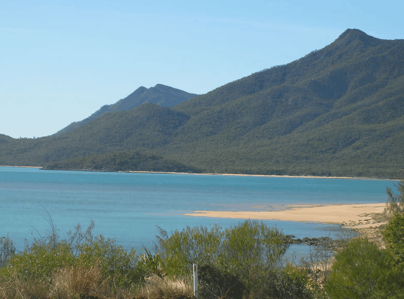 Eco Jet Safari - Hervey Bay Accommodation 5