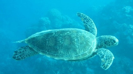 Tallship Adventures - thumb 4