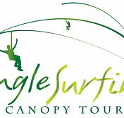 Jungle Surfing Canopy Tours and Jungle Adventures Nightwalks - Tourism Hervey Bay